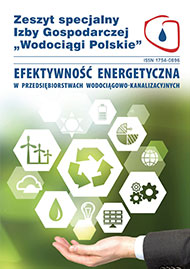 Efektywność energetyczna w przedsiębiorstwach wodociągowo-kanalizacyjnych