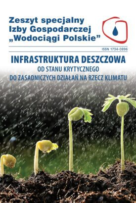 NOWOŚĆ! Infrastruktura deszczowa. Od stanu krytycznego do zasadniczych działań na rzecz klimatu