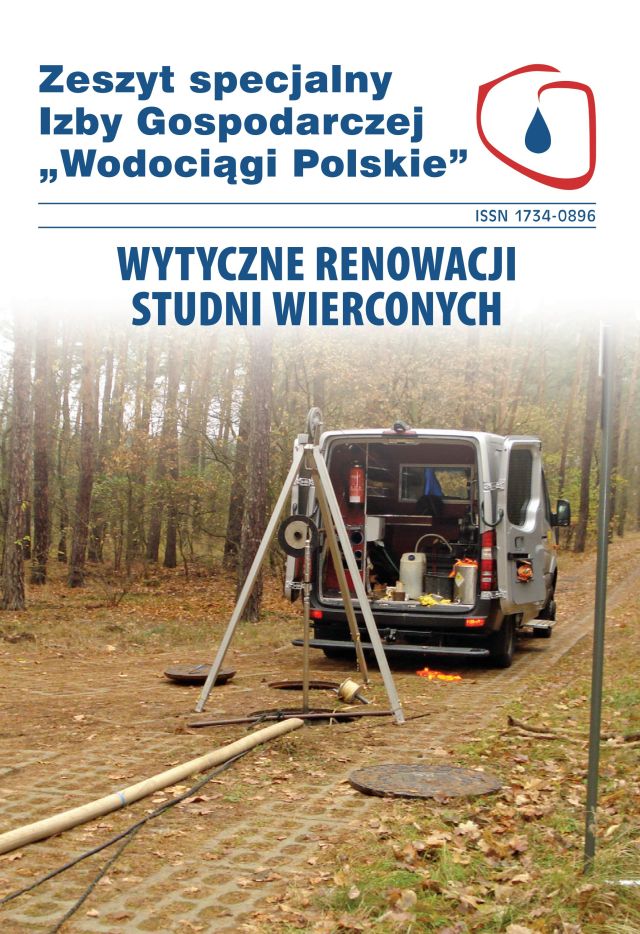 Renowacja studni okladka